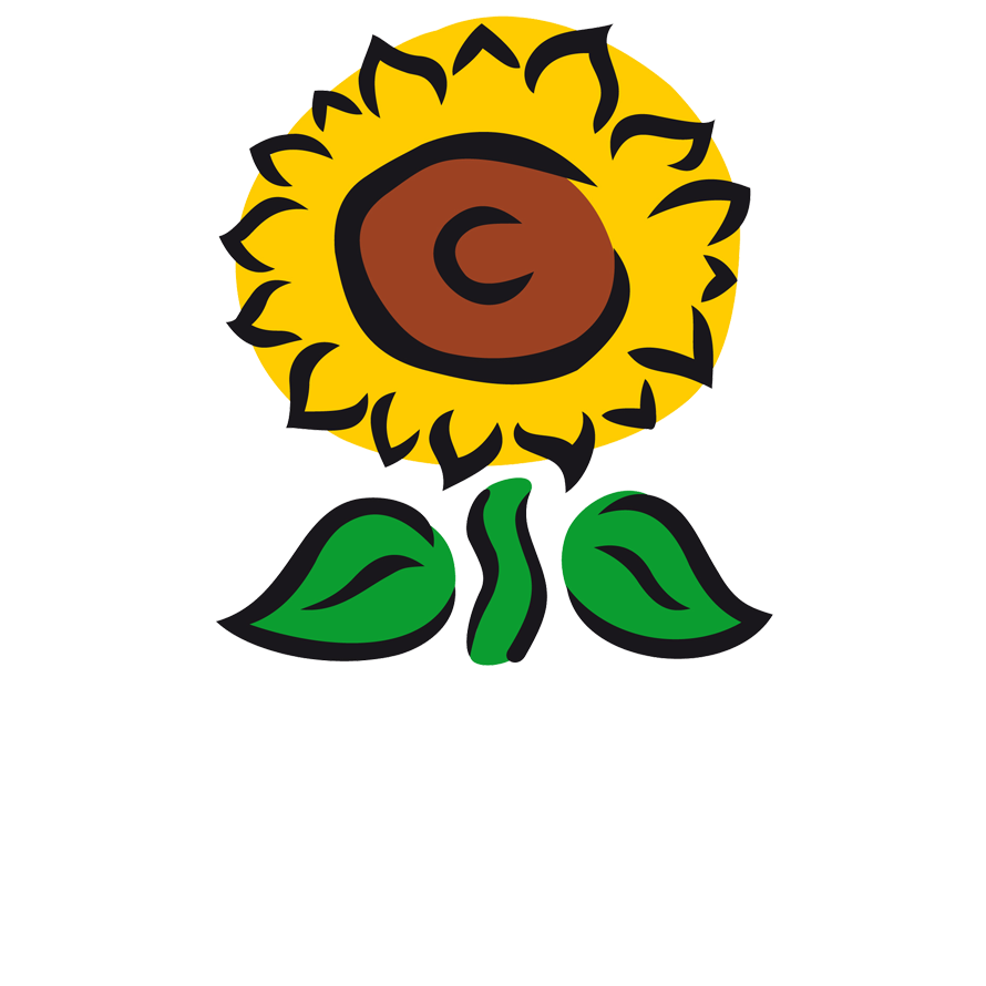 Slunečnice